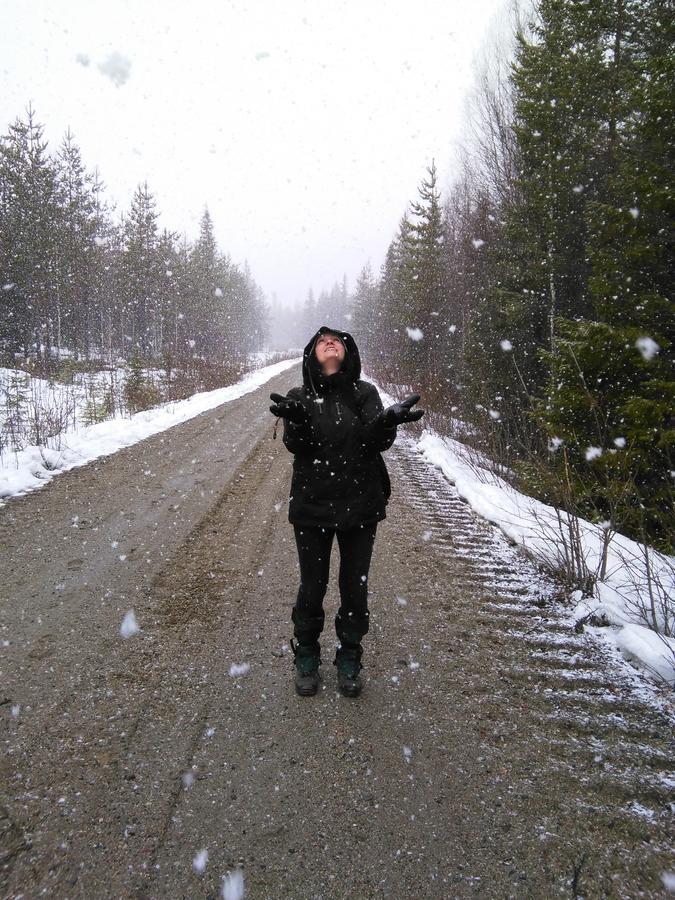 Gafsele Lappland Hostel Väster Gafsele Buitenkant foto