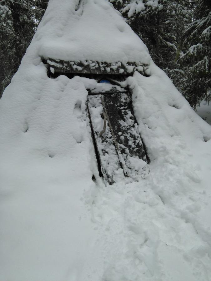 Gafsele Lappland Hostel Väster Gafsele Buitenkant foto