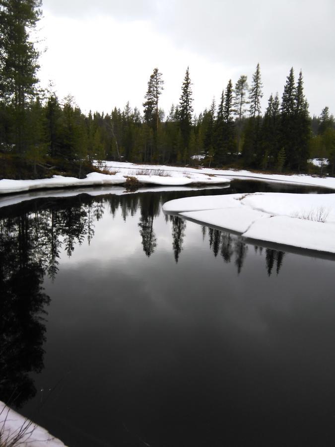 Gafsele Lappland Hostel Väster Gafsele Buitenkant foto