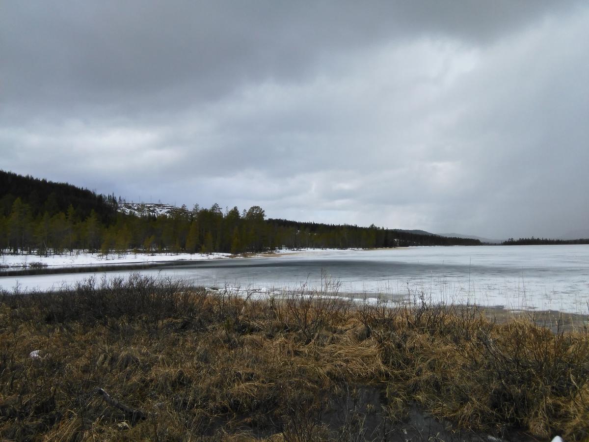 Gafsele Lappland Hostel Väster Gafsele Buitenkant foto