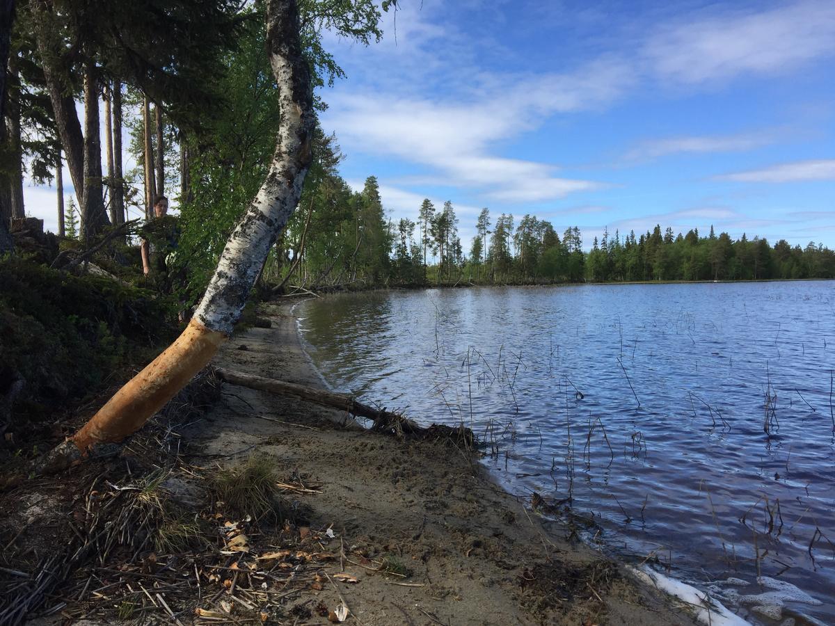 Gafsele Lappland Hostel Väster Gafsele Buitenkant foto